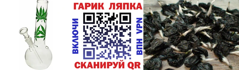ГАШИШ гарик  Тара 